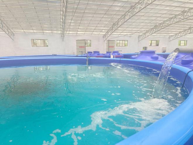 智慧養(yǎng)魚闖出致富新路 水質(zhì)改良劑研發(fā)的革新與機(jī)遇