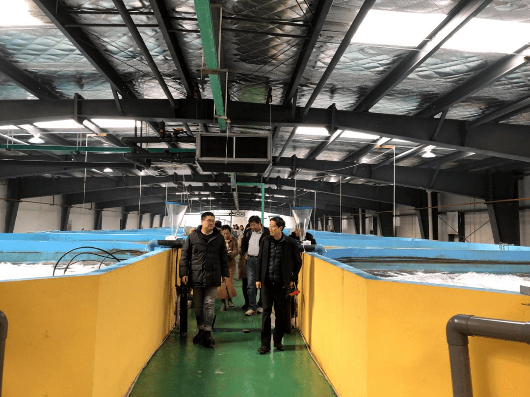 聚焦武漢優(yōu)質(zhì)蝦苗供應(yīng)，推動(dòng)內(nèi)陸工廠化養(yǎng)殖產(chǎn)業(yè)升級(jí)與漁業(yè)技術(shù)革新